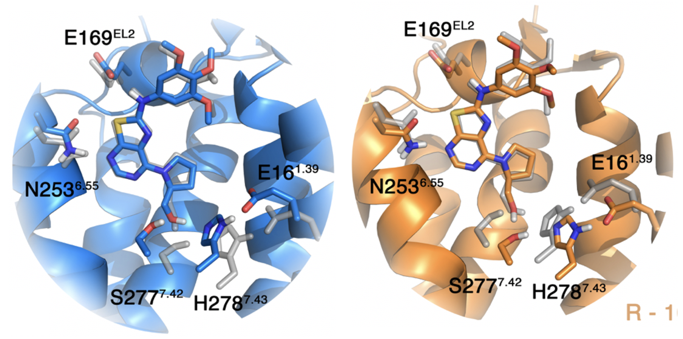Imagen GPCR binding pocket