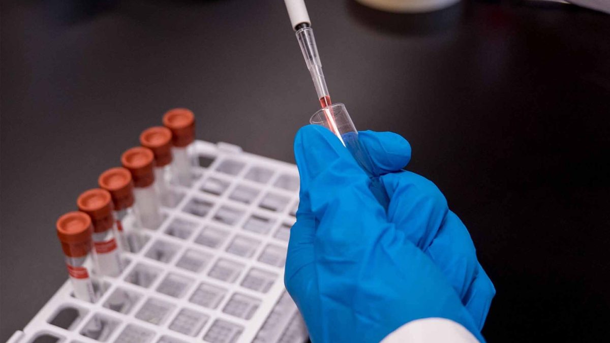 Biotinylated Fluorophores