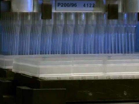 High content screening automation for GPCR