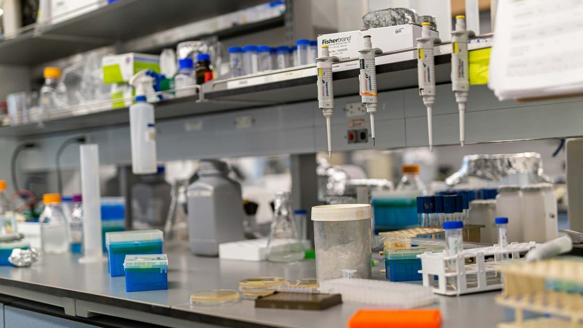 Pharmacophore Characterization with Time-Resolved Fluorescence