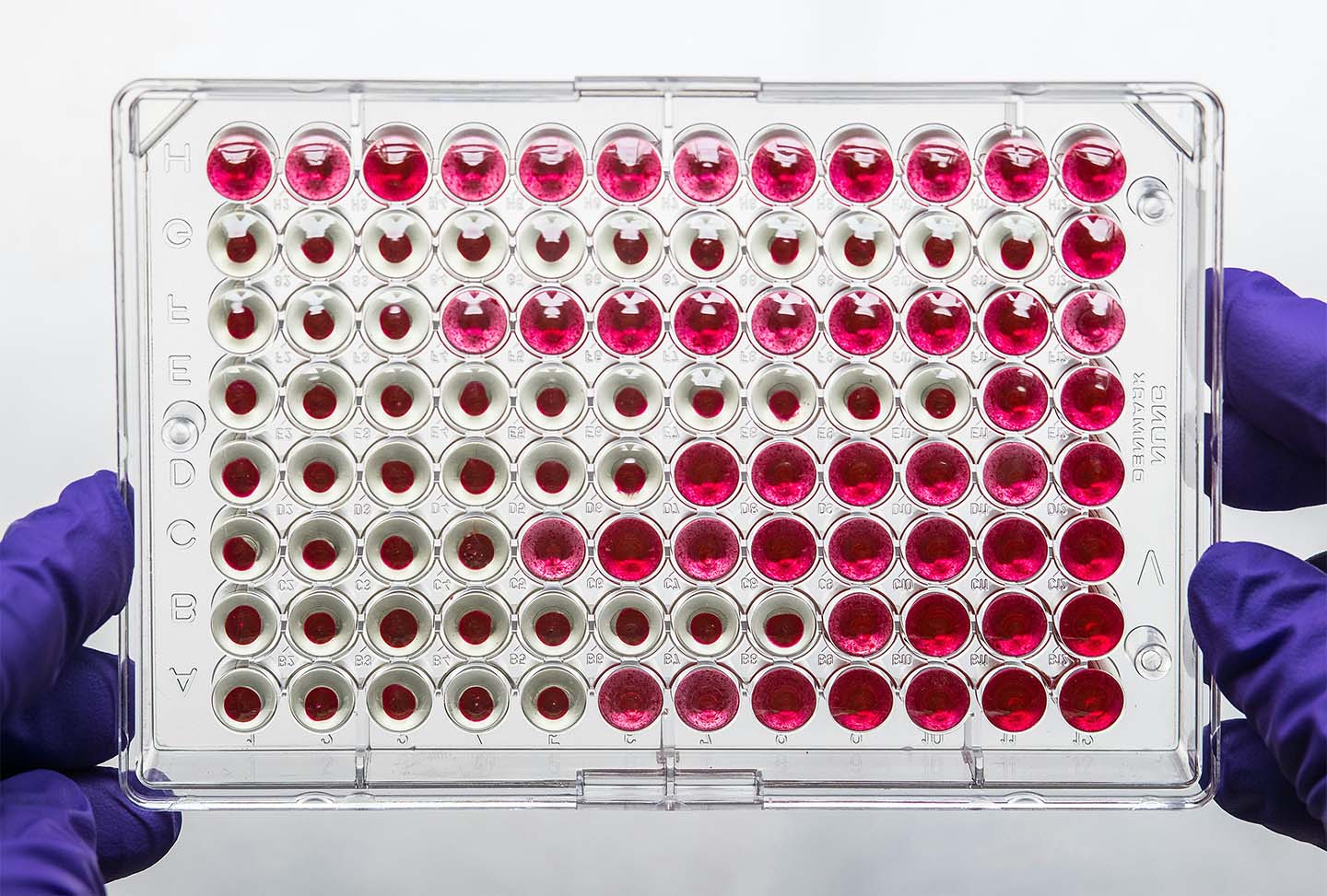 Fluorescence-based binding assays