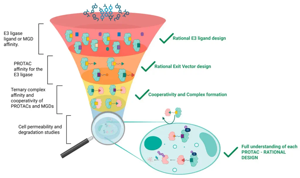 Matching the Assay to Your Screening Stage
