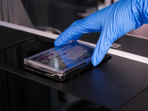 Picking an E3 Ligase Assay: FP, TR-FRET, ELISA, NanoBRET